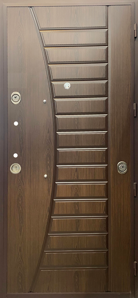 Armored Doors (1006)