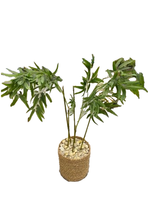 Big Bamboo planet bowl