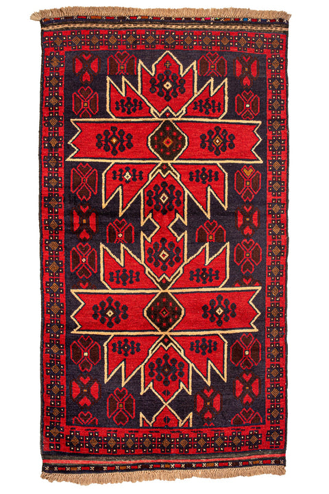 Afghani Pluchi