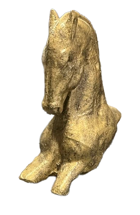 Arabian Horse Head